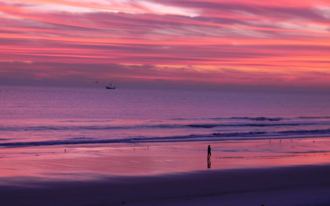 6 To-Do’s on Spring Break in Treasure Island in 2021