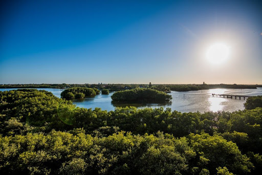 Spring Break Weedon Island Preserve