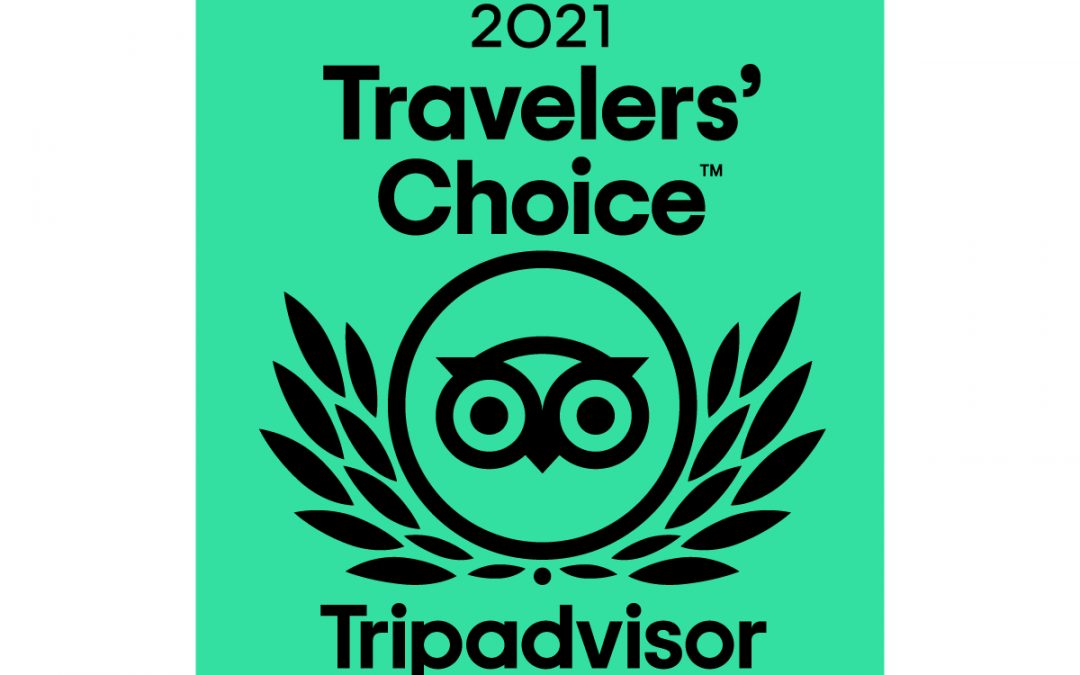 Page Terrace Beachfront Hotel Wins 2021 Tripadvisor Travelers’ Choice Award for Hotels