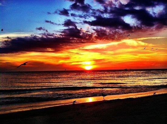 Watch the sunset