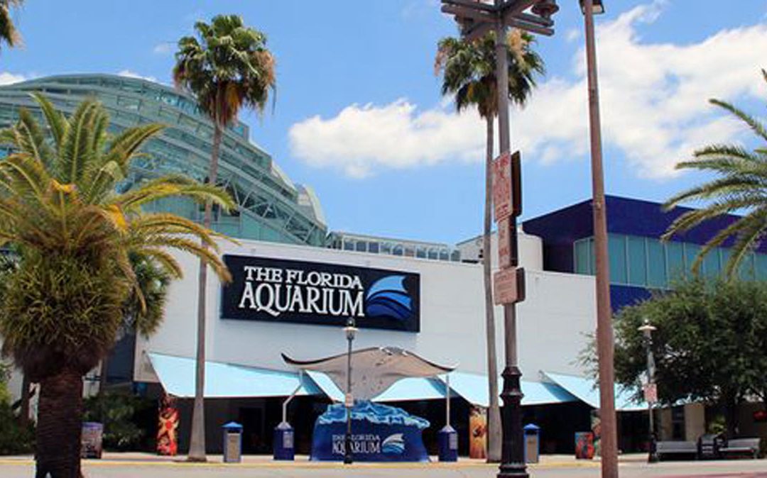Embrace the Rain: Your Rainy Day Guide for Treasure Island, Florida