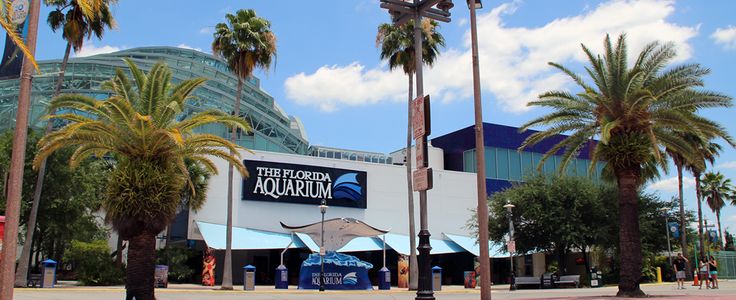 Visit the St. Pete Beach Aquarium